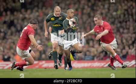 IL PRINCIPE WILLIAM CUP GALLES V SUD AFRICA AL MILLENNIUM STADIUM CARDIFF. 24/11/2007. JP PIETENSEN. IMMAGINE DAVID ASHDOWN Foto Stock