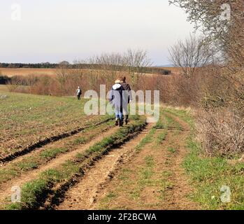 Ramblers su un percorso rurale nelle colline Chiltern in Inghilterra Foto Stock