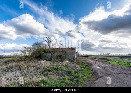 Haddenham Cambridgeshire, Regno Unito. 11 Marzo 2021. Il forte vento soffia un mix di sole e docce con spettacolari formazioni di nuvole nel grande cielo dell'Anglia Orientale sui pianeggianti paesaggi agricoli della Fenland. Il tempo del Regno Unito è previsto per continuare con le docce arrugginite nei prossimi due giorni. Credit: Julian Eales/Alamy Live News Foto Stock