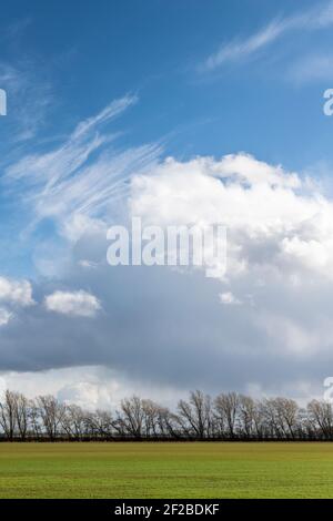 Haddenham Cambridgeshire, Regno Unito. 11 Marzo 2021. Il forte vento soffia un mix di sole e docce con spettacolari formazioni di nuvole nel grande cielo dell'Anglia Orientale sui pianeggianti paesaggi agricoli della Fenland. Il tempo del Regno Unito è previsto per continuare con le docce arrugginite nei prossimi due giorni. Credit: Julian Eales/Alamy Live News Foto Stock