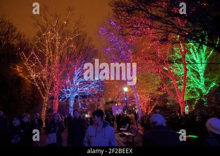 Folla allo Zoo Lights Night presso lo Smithsonian National Zoological Park a dicembre di ogni anno per festeggiare la stagione. Foto Stock