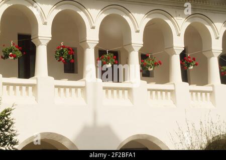 Monastero di Caldarusani, Contea di Ilfov, Romania. L'alloggio dei monaci, costruito in stile architettonico Brancovenesc. Foto Stock