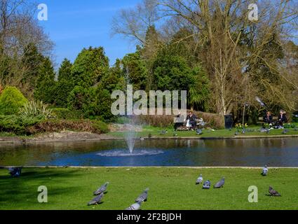 Piccioni sul terreno accanto allo stagno di Pinner Memorial Park. Persone che si siedono sulle panchine del parco al sole. Pinner, Harrow, Londra, Regno Unito. Foto Stock