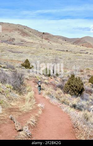 Persona, uomo o donna, escursioni sulla erbosa del deserto, sentieri nel tardo inverno nel Matthews/Winters Park nella zona Red Rocks di Golden, Colorado Foto Stock