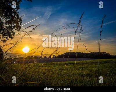 Il sole tramonta su un campo nel North Wessex Downs vicino alla città di Hungerford, Inghilterra. Foto Stock