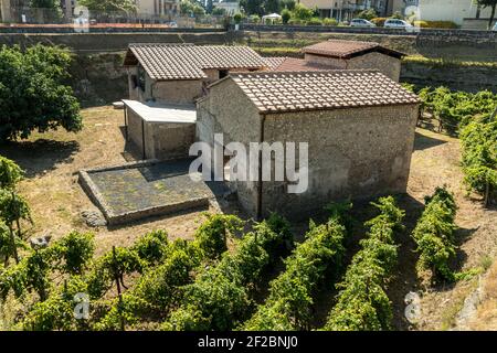 Villa Regina in Villa Boscoreale, antiche ville romane distrutte dall'eruzione del Vesuvio o del Vesuvio, Campania, Italia Foto Stock