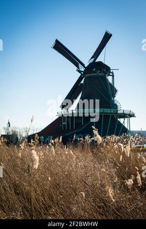 Lo storico mulino a vento De Kat a Zaanse Schans, Zaandijk, Paesi Bassi. Foto Stock