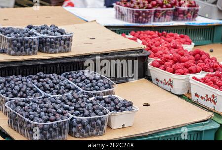 Piccole scatole di plastica con mirtilli esposti sul mercato alimentare, dettaglio closeup, più lamponi e ciliegie sfondo Foto Stock