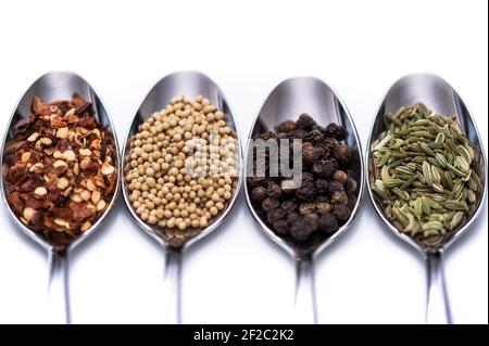 Quattro cucchiai d'argento contenenti pepe rosso, semi di senape, pepe nero e semi di finocchio, fondo bianco Foto Stock