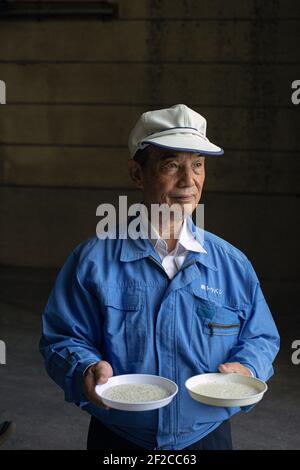 Produzione di sake giapponese, Rice miller presentando riso lucidato alla fabbrica di macinazione, prefettura di Hyogo, Giappone. Foto Stock