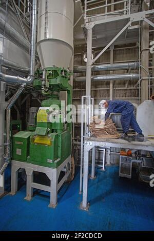 Giappone/prefettura di Hyogo/produzione sake giapponese/fabbrica di macinazione del riso. Foto Stock