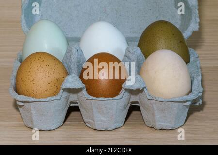 Sei diverse uova biologiche di colore libero da sei diverse galline Foto Stock