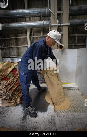 Giappone/prefettura di Hyogo/produzione sake giapponese/fabbrica di macinazione del riso. Foto Stock