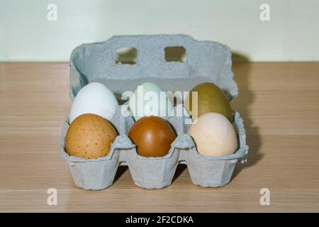 Sei diverse uova biologiche di colore libero da sei diverse galline Foto Stock