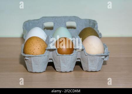 Sei diverse uova biologiche di colore libero da sei diverse galline Foto Stock