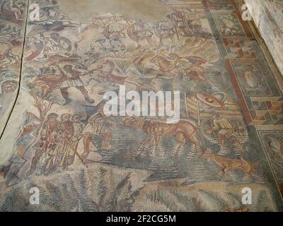 Scena di caccia mosaico, villa romana del Tellaro Foto Stock