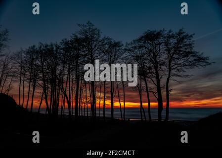 tramonto sulla riva del mare con vista attraverso silhouette di alberi e belle nuvole dipinte in colori di tramonto in toni caldi Foto Stock