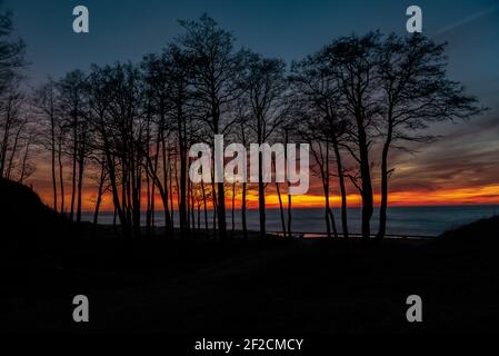 tramonto sulla riva del mare con vista attraverso silhouette di alberi e belle nuvole dipinte in colori di tramonto in toni caldi Foto Stock