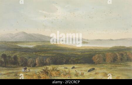 Port Nicholson dalle colline sopra Pitone nel 1840. (Te Papa, 1992-0035-1724). Foto Stock