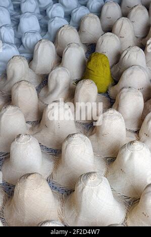 Produzione di cappelli Panama non finiti realizzati a mano in Ecuador. Foto Stock