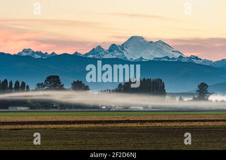 Un nastro di nebbia attraverso la valle di Skagit come Monte Baker si alza alla luce dell'alba in una mattinata d'autunno Foto Stock