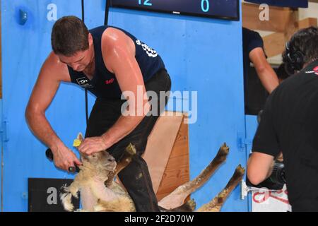 Campionato mondiale di tosatura delle pecore Francia Foto Stock