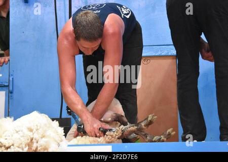 Gavin Mutch a World Champs, Francia Foto Stock