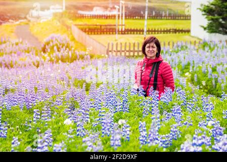 Sorridente turista donna con una macchina fotografica in un campo di lupin fiori selvatici in piena fioritura in una giornata estiva soleggiata Foto Stock