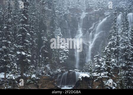 Tangle Falls lungo l'Icefields Parkway in Alberta durante una tempesta di neve all'inizio di giugno. Foto Stock