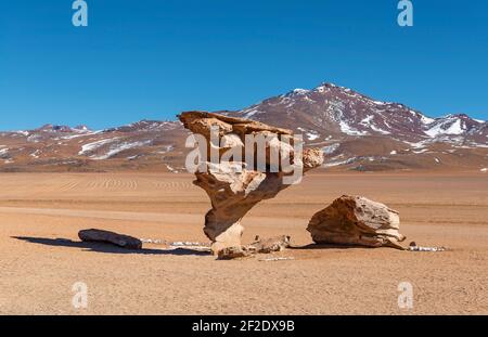 L'Arbol de Piedra o l'albero di pietra nel deserto di Siloli, la riserva nazionale Eduardo Avaroa, Uyuni, Bolivia. Foto Stock