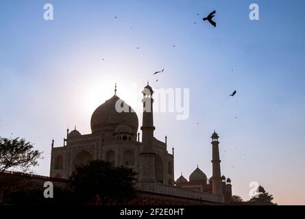 La silhouette del Taj Mahal al tramonto, gli uccelli che circondano la sua cupola Foto Stock