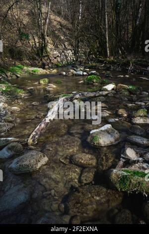 Fiume di acqua fluente montagna in francia giura Foto Stock