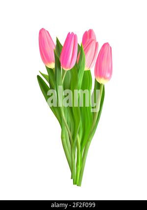 Bouquet di fiori di tulipani rosa realistico isolato su sfondo trasparente. Illustrazione vettoriale Illustrazione Vettoriale