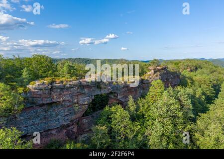 Vista ad alto angolo sul grande arco in arenaria tra gli alberi. Attrazione turistica naturale Rocher et Arche de l'Erbsenfelsen in Mosella, Francia. Foto Stock