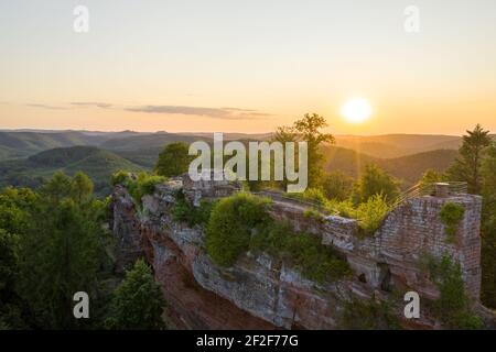 Vista aerea del castello di Falkenstein rovina nel tempo del tramonto. Detriti di castello storico su alta pietra arenaria. Mosella, Francia. Foto Stock