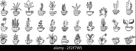 Piante in pentole doodle set. Raccolta di diversi pantaloni e fiori fatti a mano in vaso per la decorazione interna della casa isolato su sfondo trasparente Illustrazione Vettoriale