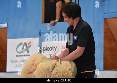 Audrey Lamb dalla Scozia compete al World Woolhandling in Francia Foto Stock