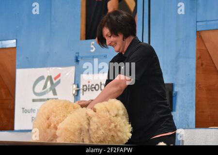 Audrey Lamb dalla Scozia compete al World Woolhandling in Francia Foto Stock