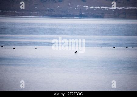 Kayaking invernale sul lago Issyk Kol in Kirghizistan Foto Stock