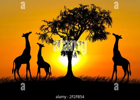 Illustrazione di un paesaggio africano con sagome di giraffe e. albero contro un cielo arancione tramonto Foto Stock