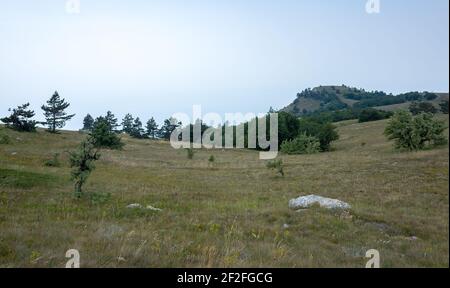 Paesaggio montano sull'altopiano dello Yalta Yayla vicino alla cima ai-Petri. Foto Stock