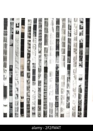 Negativi della pellicola fotografica monocromatica da 35 mm isolata su sfondo bianco. Foto Stock