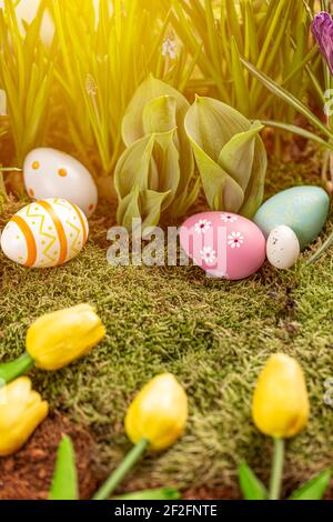 Uova di Pasqua colorate e bellissimi fiori di primavera posati sul muschio Foto Stock