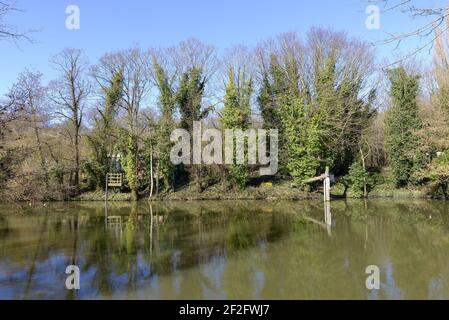 Fiume, alberi e cielo blu (ad Allington, Maidstone, Kent, UK.) Foto Stock