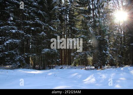 Escursione invernale nei pressi di Mittenwald, vicino a Elmau, Klais, Europa, Germania, Baviera, alta Baviera, Werdenfels, inverno, retroilluminazione Foto Stock