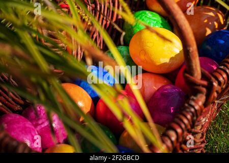 Primo piano di uova di Pasqua in vari colori in cesto di vimini il sole aprile mattina (primavera). Uovo caccia tedesco Pasqua stagione vacanza tradizione. Foto Stock