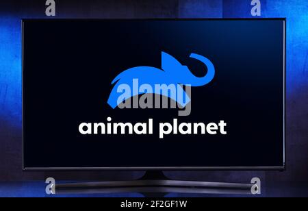 POZNAN, POL - 06 AGOSTO 2020: Televisore a schermo piatto con il logo di Animal Planet, un canale televisivo a pagamento multinazionale americana di proprietà di Discovery, Foto Stock