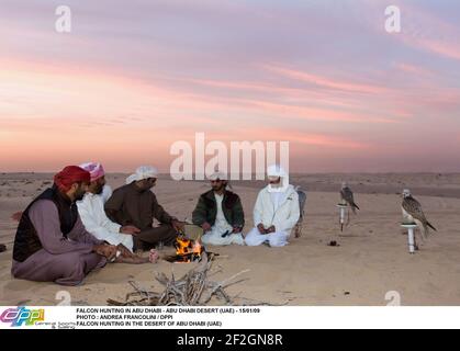 CACCIA FALCON AD ABU DHABI - DESERTO DI ABU DHABI (EMIRATI ARABI UNITI) - 15/01/09 FOTO : ANDREA FRANCOLINI / DPPI FALCON CACCIA NEL DESERTO DI ABU DHABI (EMIRATI ARABI UNITI) Foto Stock