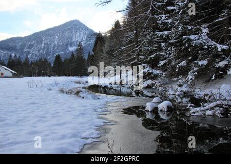 Passeggiata nel Riedboden vicino Mittenwald, Europa, Germania, Baviera, alta Baviera, Werdenfelser terreno, inverno, foresta, piccolo stagno sul lato del percorso, Foto Stock