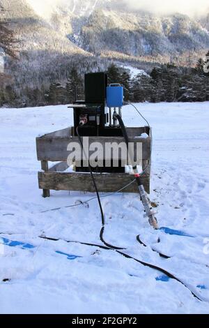 Passeggiata nel Riedboden vicino Mittenwald, Europa, Germania, Baviera, alta Baviera, Werdenfelser terreno, inverno, foresta Foto Stock